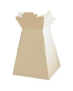Large Living Vase Cream Box of 30