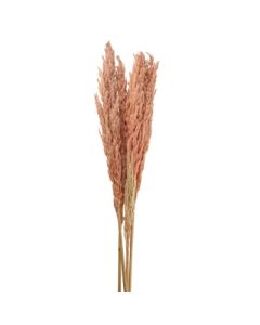 115cm Pampas Bundle Pale Pink