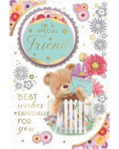 Friend C75 Pk6 Xpress Yourself