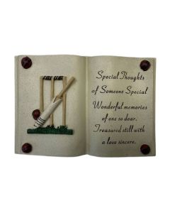 Special Thoughts Cricket Book Memorial Stone David Fischhoff