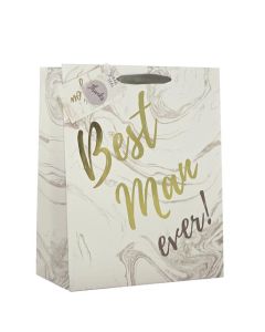 Large Gift Bags Pack of 6 Partisan