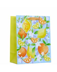 Simply The Zest Large Gift Bag 6pk (Partisan)