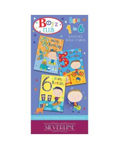 Children's Ages Assorted Box of Cards C50 144/12Pks Silverline