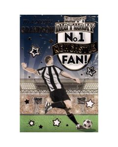 Grandson Newcastle C75 Pk6 Xpress Yourself