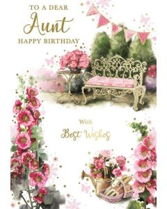 Aunt C50 Pk6 Xpress Yourself