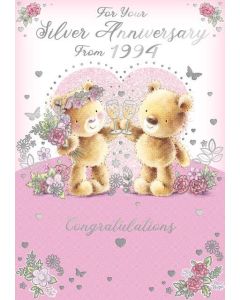 Your Silver Anniversary From 1994 C50 Pk6 Xpress Yourself