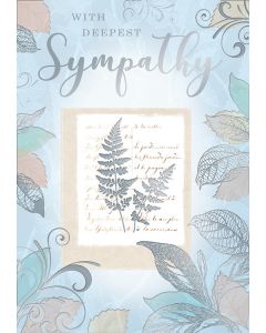 Sympathy C50 Pk6 Xpress Yourself