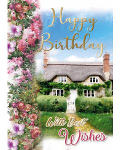 Birthday C50 Pk6 Xpress Yourself