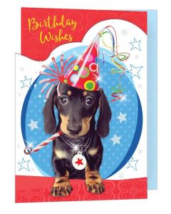 Birthday C50 Pk6 Out of the Blue