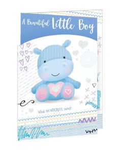 Birth Boy C75 Pk6 Out of the Blue