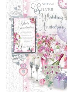 Silver 25th Anniversary C75 Pk6 Xpress Yourself