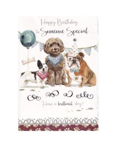 Someone Special C125 Pk6 Out of the Blue