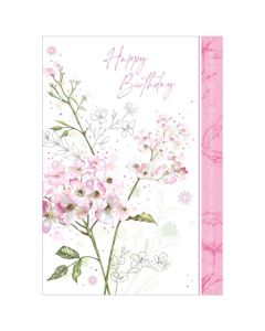 Open Birthday C50 Pk6 Out of the Blue