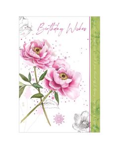 Open Birthday C50 Pk6 Out of the Blue