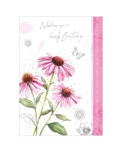 Open Birthday C50 Pk6 Out of the Blue