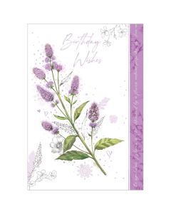 Open Birthday C50 Pk6 Out of the Blue