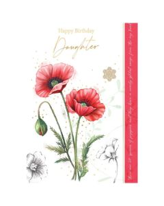 Daughter C50 Pk6 Out of the Blue