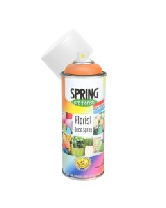 Pumpkin Euro Aerosol Spray Paint 400ml (Apac)