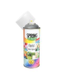Charcoal Grey Euro Aerosol Spray Paint 400ml (Apac)