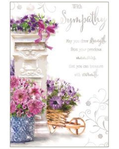 Sympathy C50 Pk6 Out of The Blue