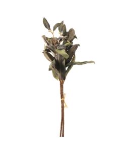 50cm Dried Image Leaf Bundle Blue