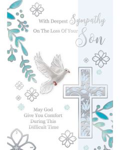 Loss Of Son C50 Pk12 Silverline