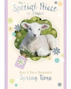 Niece C50 PK12 Xpress Yourself