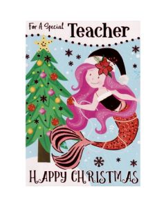 Teacher C50 Pk12 Silverline