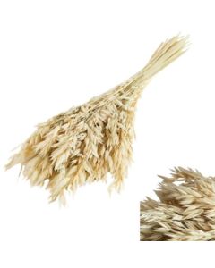 Oats, Dried, Ecru, 80g Bunch