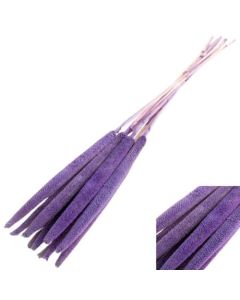 Babala, Pastel Lilac Bunch of 10 Stems