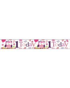 Single Banner Age 1 Pink 2.5m Foil Simon Elvin