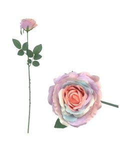 Unicorn Blooming Rose