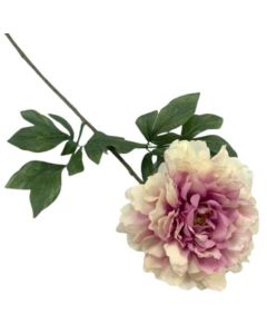 16cm Single Stem Blooming Peony Vintage Pink Weddings & Flowercraft