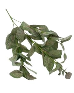 70CM CALATHEA LEAF SPRAY GREEN/MAUVE - WFSF204 GRN/MAU