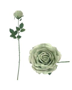 Blooming Rose Grey