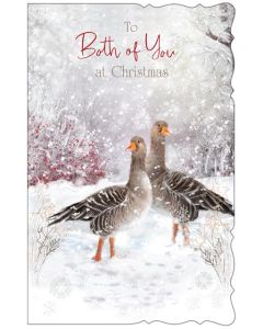 To Both Of You C125 Pk6 Out Of the Blue