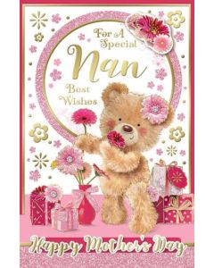 Nan Mothers Day C125 PK6 by Xpress Yourself