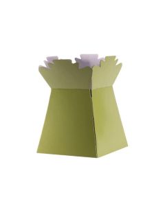 Living Vase Sage Box of 30