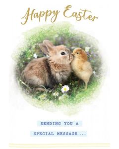 Pk10 Cards Easter Wishes Open