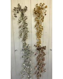 Glitter Willow Trail