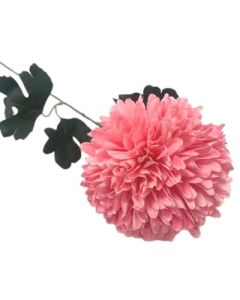 Sugar Pink Allium On Stem