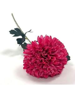 Single Fuchsia Allium On Stem