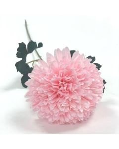 Single Light Pink Allium On Stem