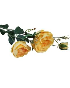 English Rose Spray with Buds Saffron