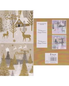 Luxury Christmas cards pk12