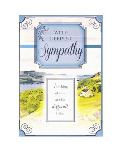 Sympathy C50 Pk6 Xpress Yourself
